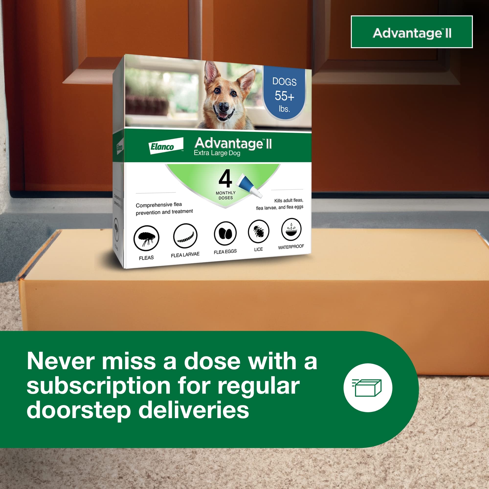Advantage II XL: formule sans parfum pour chiens sensibles.