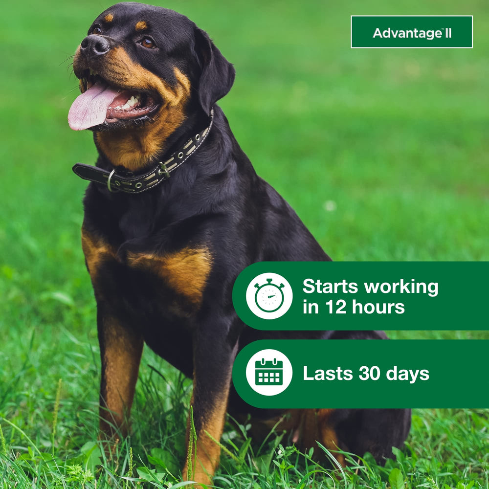 Advantage II XL – application facile sans ordonnance