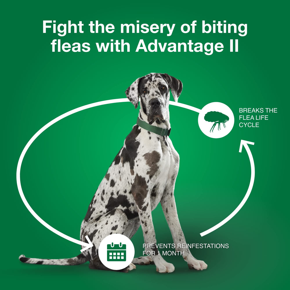 Advantage II XL: protection continue pendant 30 jours.