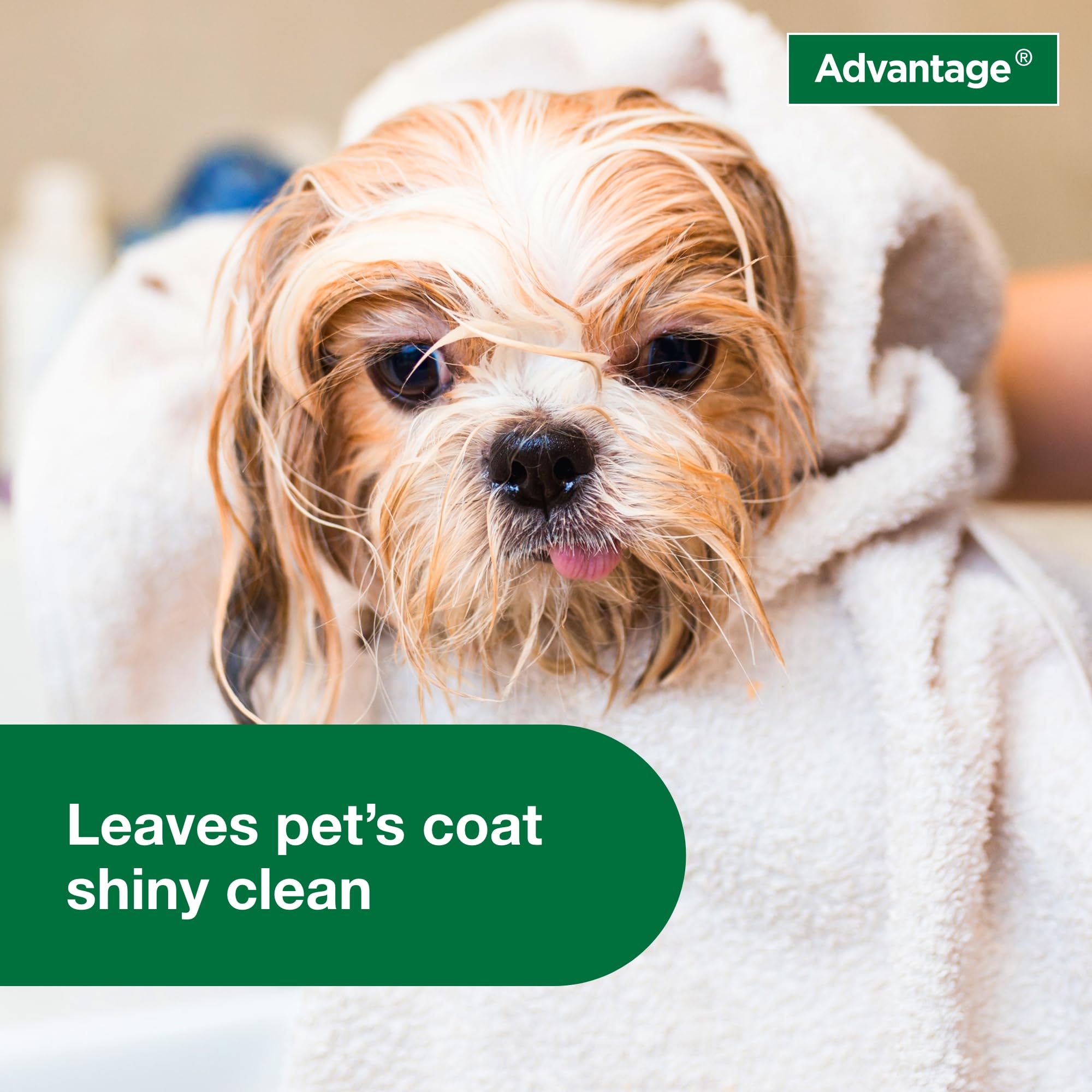 Advantage: massage-mousse-shampoing-puces-tiques, nettoyage en profondeur du pelage.