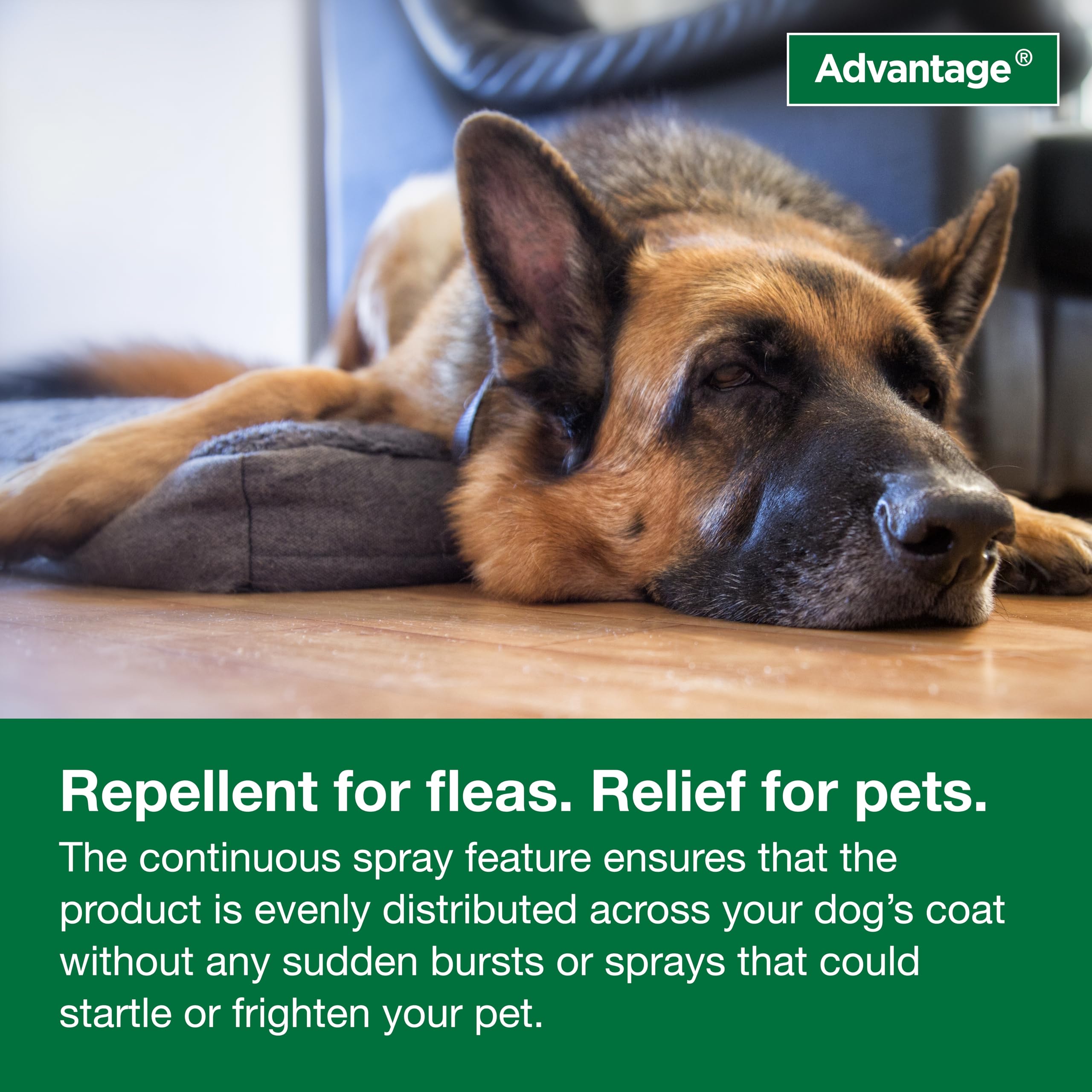 Usage simple sur le pelage pour un soin pratique.