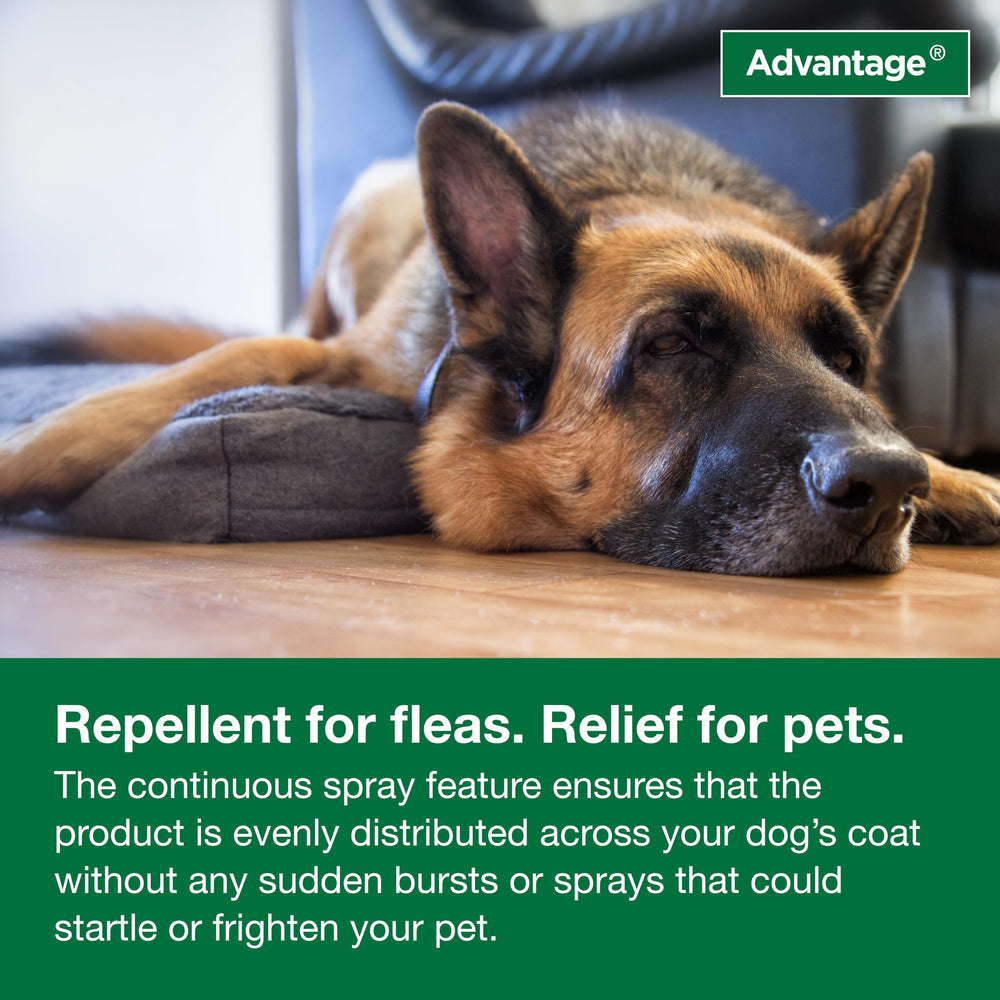 Usage simple sur le pelage pour un soin pratique.