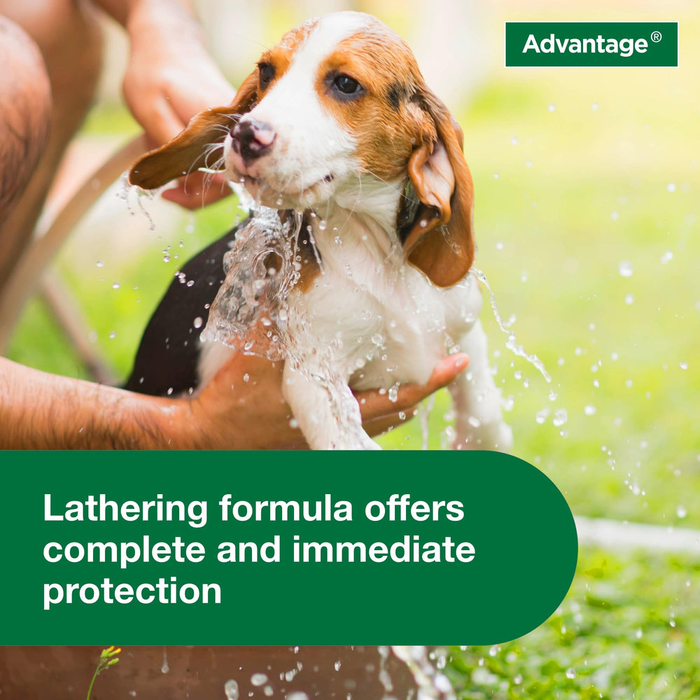 Advantage: rinçage-efficace-shampoing-puces-tiques-chien, rinçage complet et rapide.