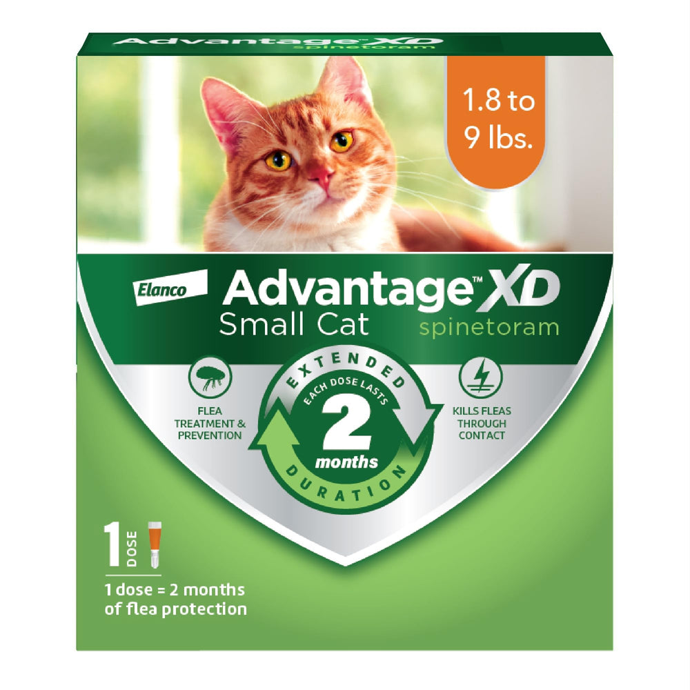 Advantage XD appliqué sur la nuque du chat, démarrage rapide de la protection.