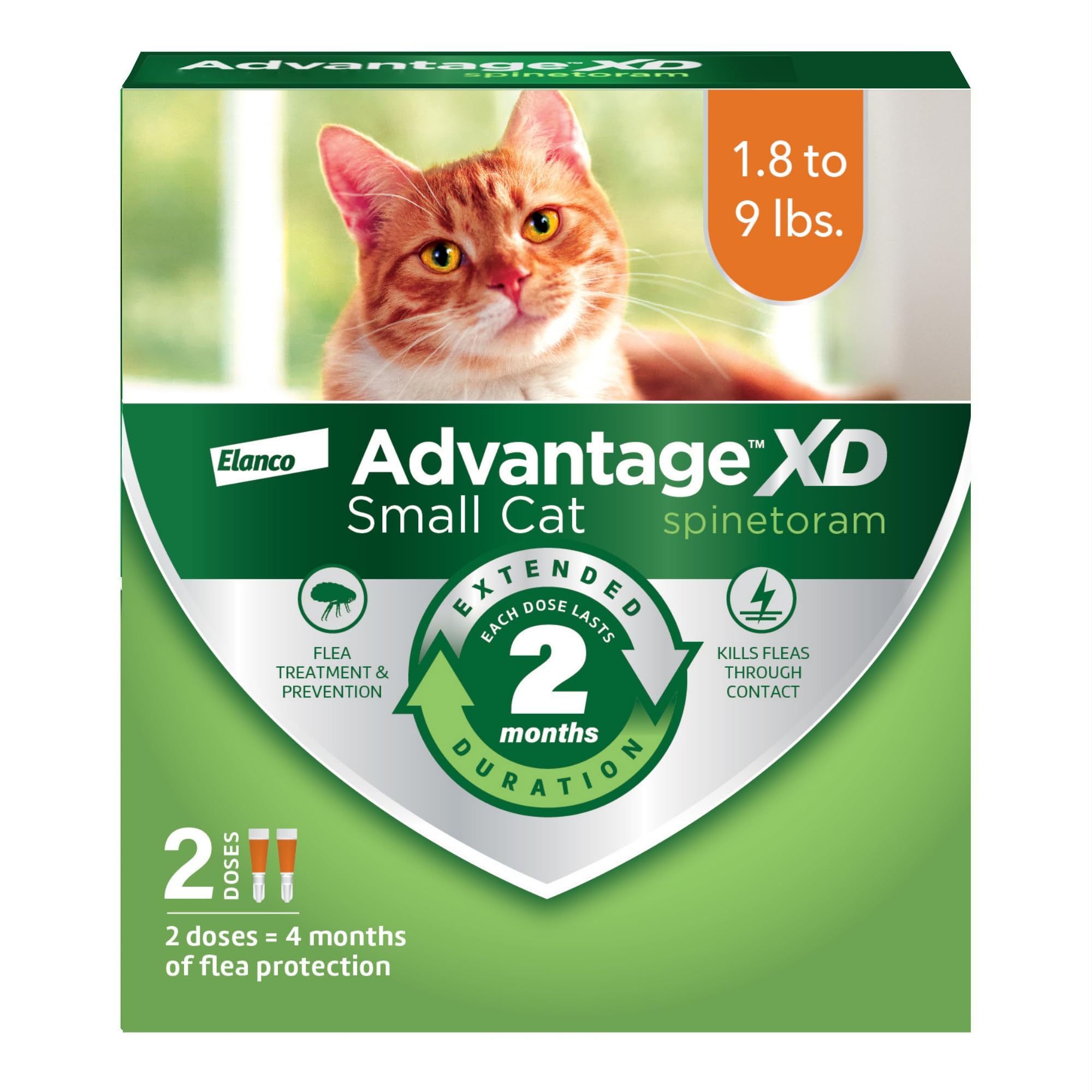 Advantage XD : application sur le cou pour une protection rapide des petits chats.
