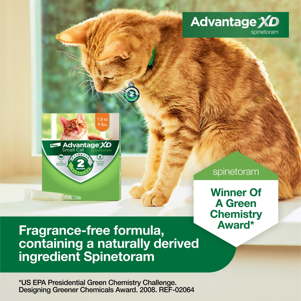 Advantage XD, emballage 2 mois de protection par dose.