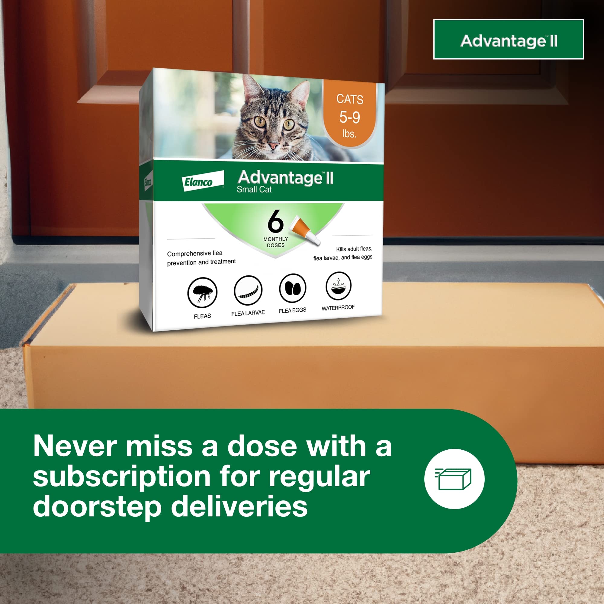 Advantage II Chat Petit – aucun comprimé, application rapide sur la nuque.