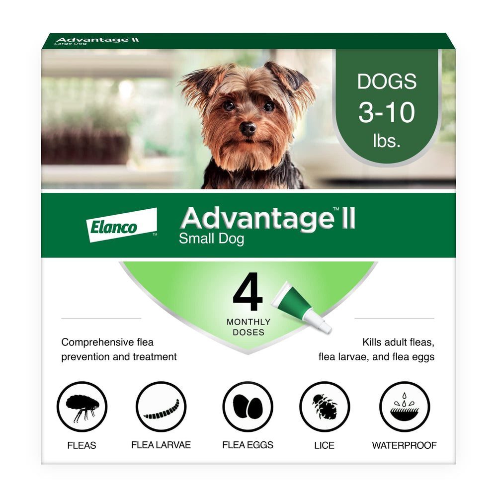 Advantage II Petit Chien – flacon topique, prêt à l’emploi pour une application rapide.