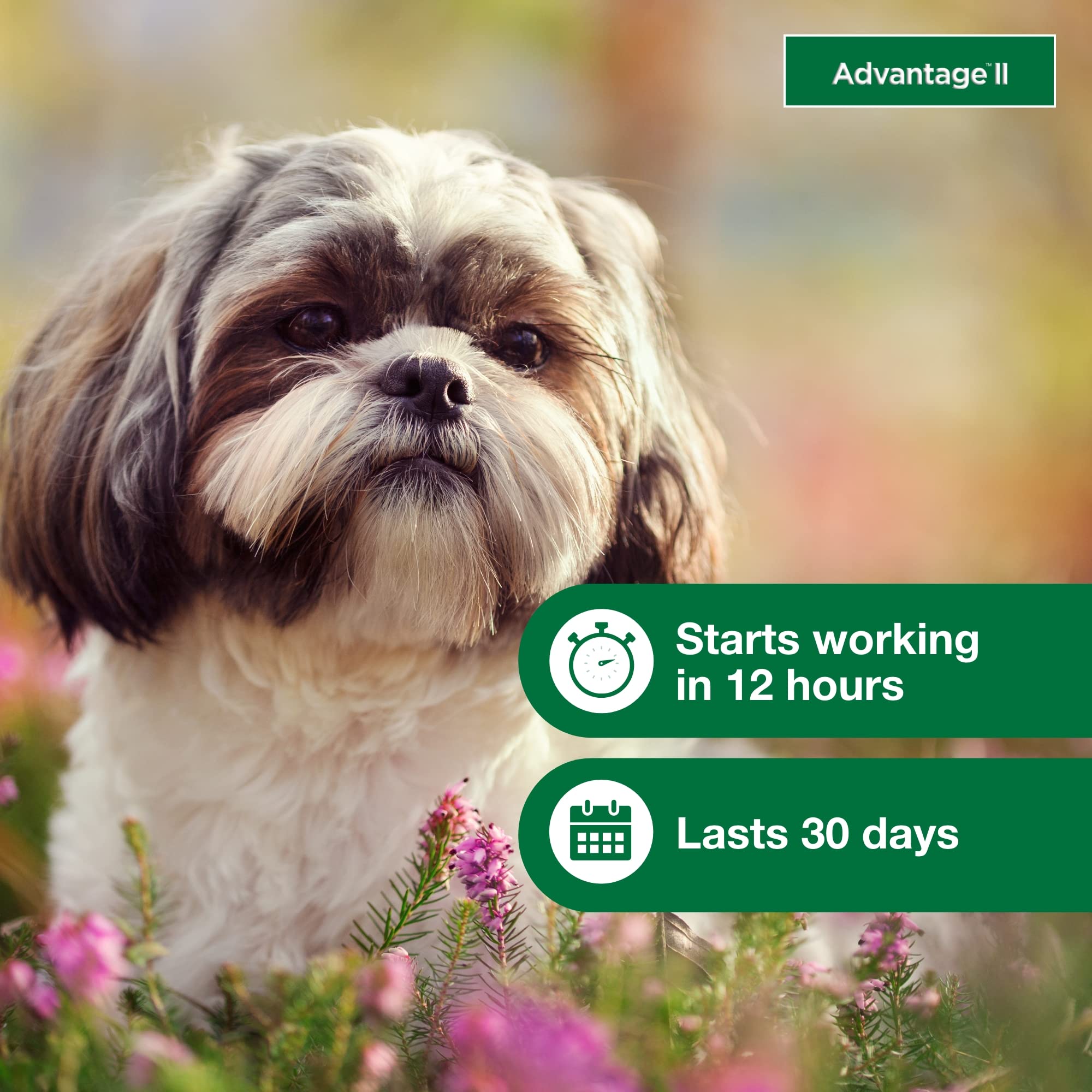 Advantage II Petit Chien – étanche après 24 heures pour plus de confort