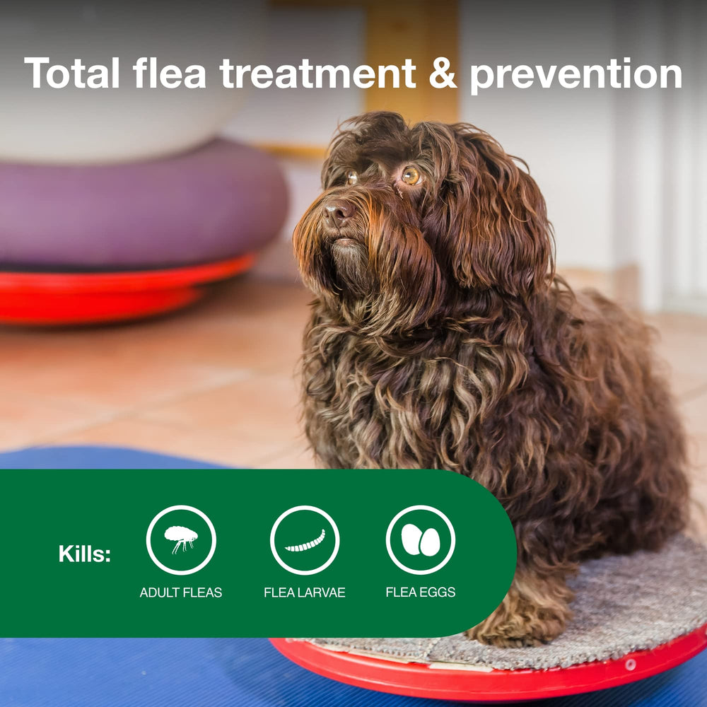 Advantage II Petit Chien – action sur larves et œufs pour limiter les puces.