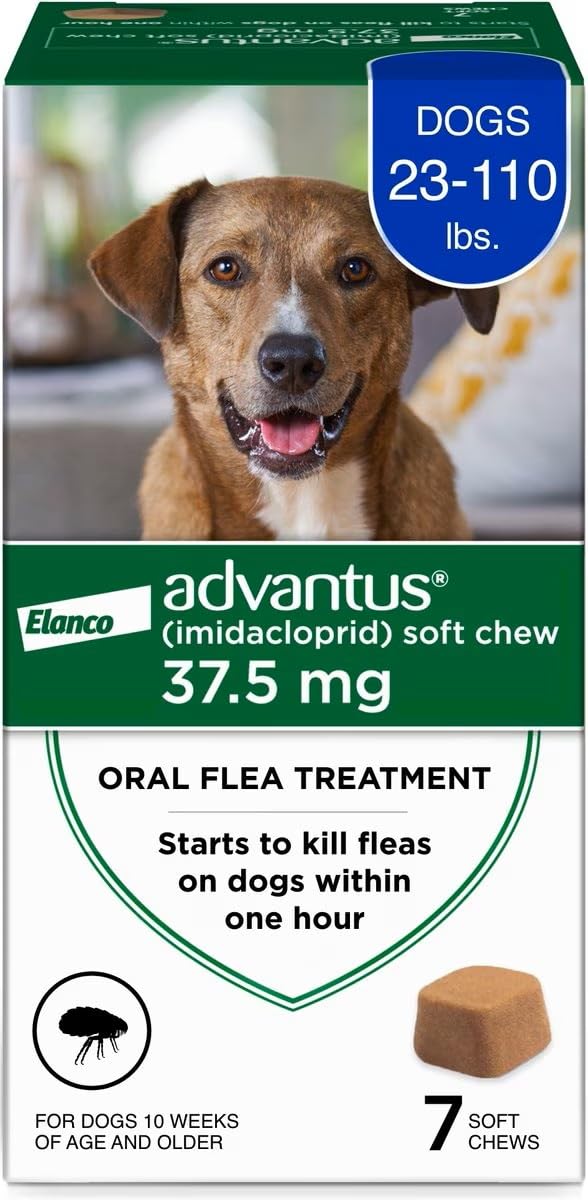Boîte Advantus avec tablettes faciles à administrer pour chiens.