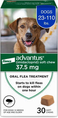 Advantus: comprimé mordible savoureux pour chien agissant rapidement contre les puces.