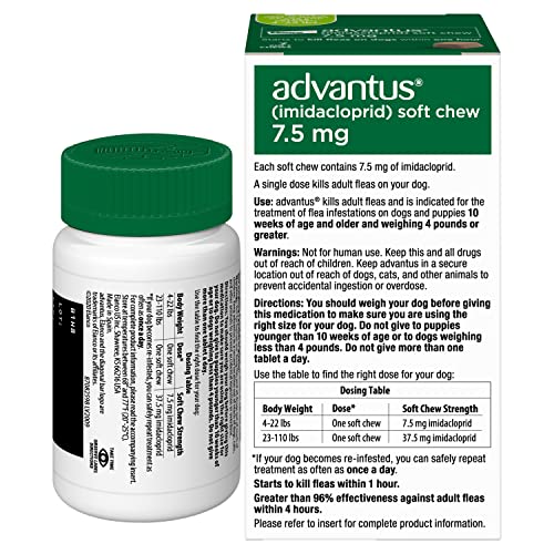 Friable Advantus sans ordonnance pour puces chez le chien.