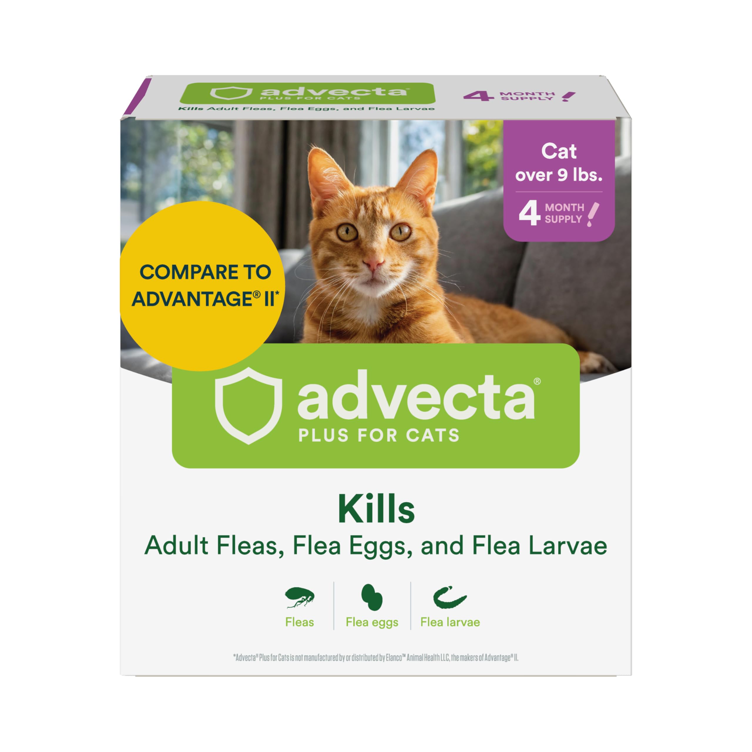 Advecta Plus: bouteille et gouttes anti-puces, action rapide sur les chats.