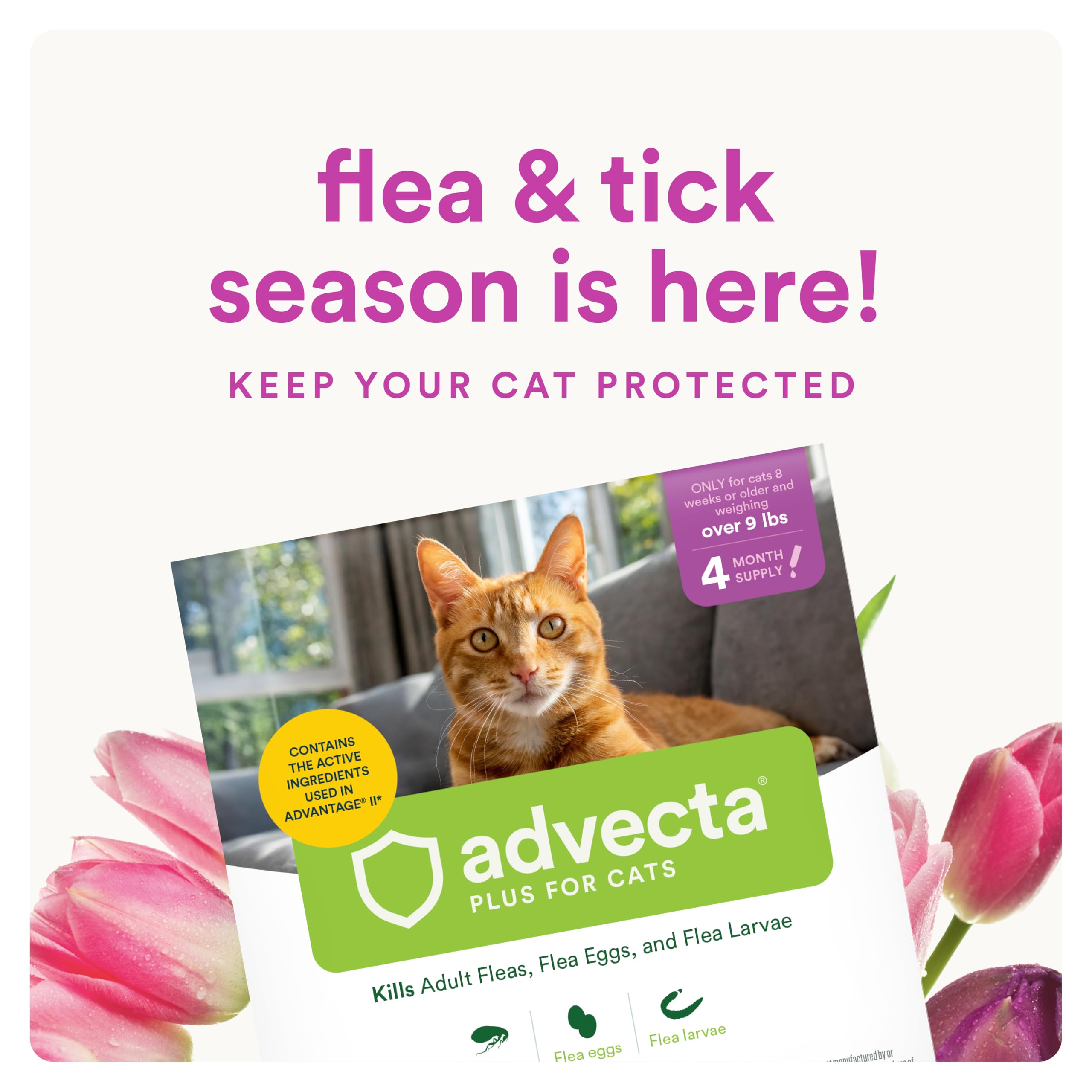 Advecta Plus: utilisation simple, sans parfum, pour chats et chatons.
