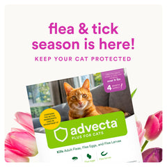 Advecta Plus: utilisation simple, sans parfum, pour chats et chatons.