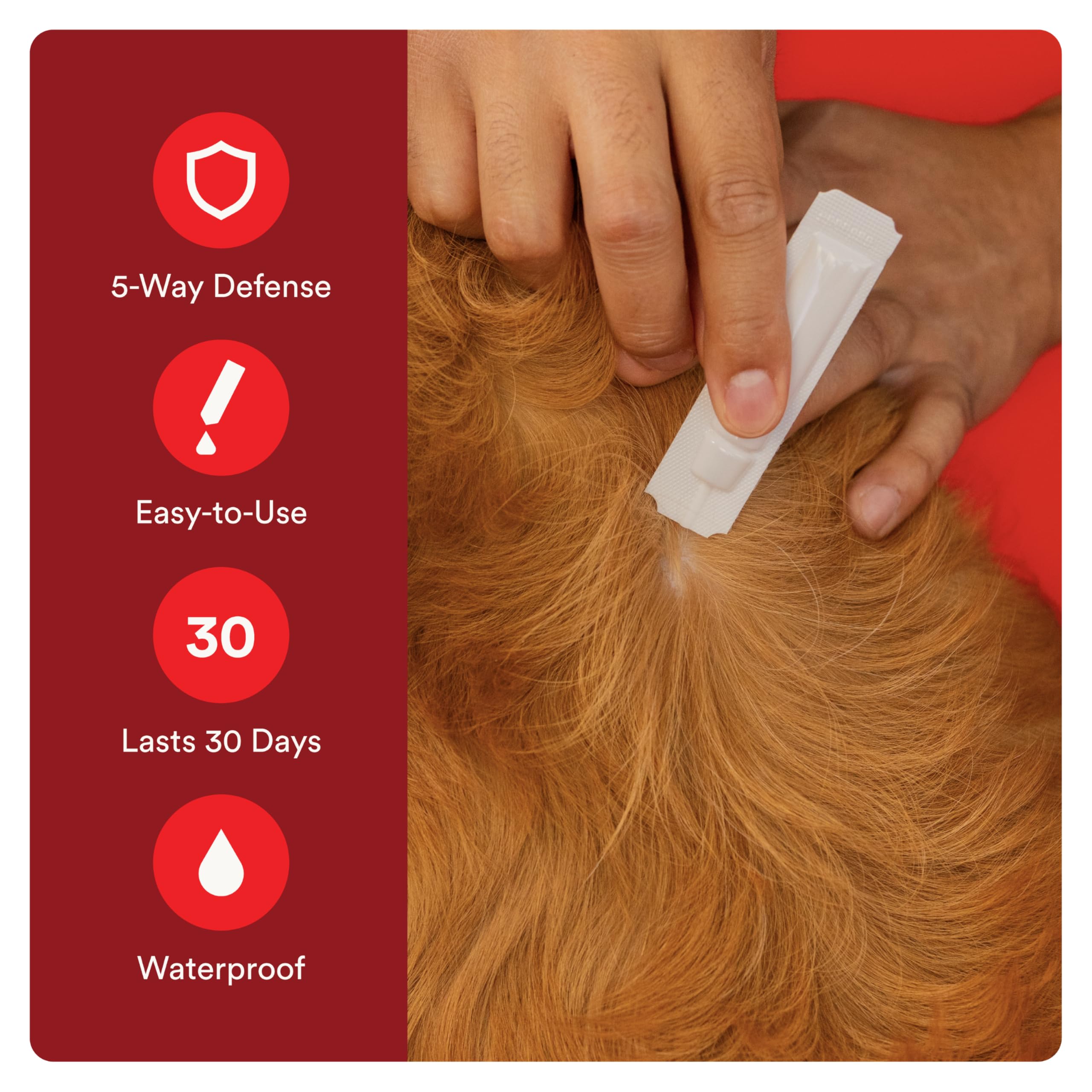 Advecta Ultra: protection contre moustiques et tiques sur le pelage.