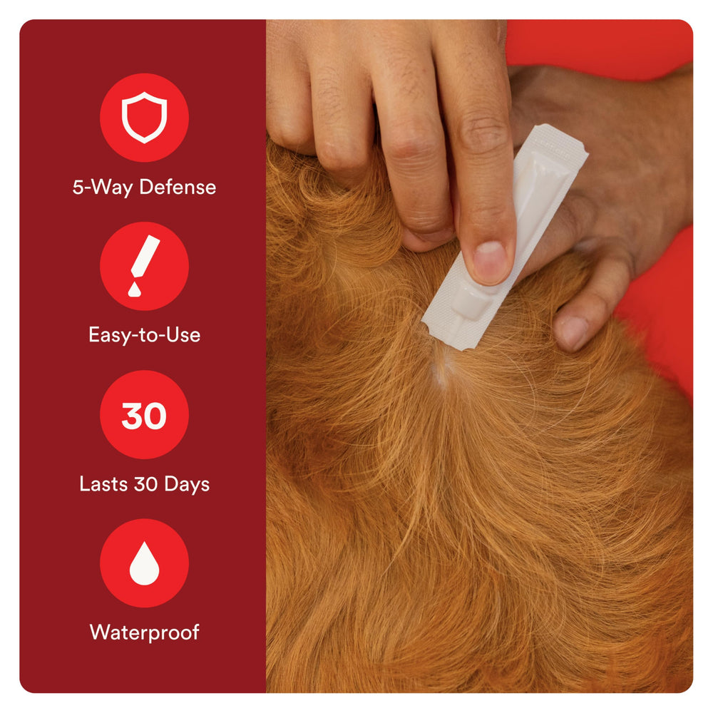 Advecta Ultra: protection contre moustiques et tiques sur le pelage.