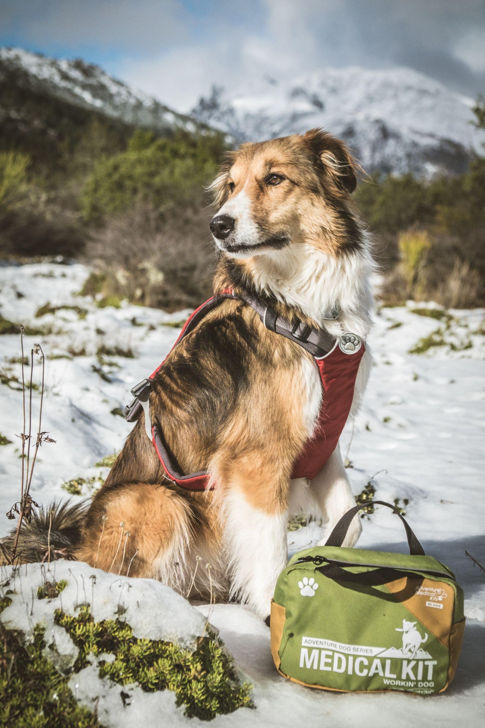 Adventure Medical Kits Workin' Dog Kit – trousse compacte et robuste, facile à transporter