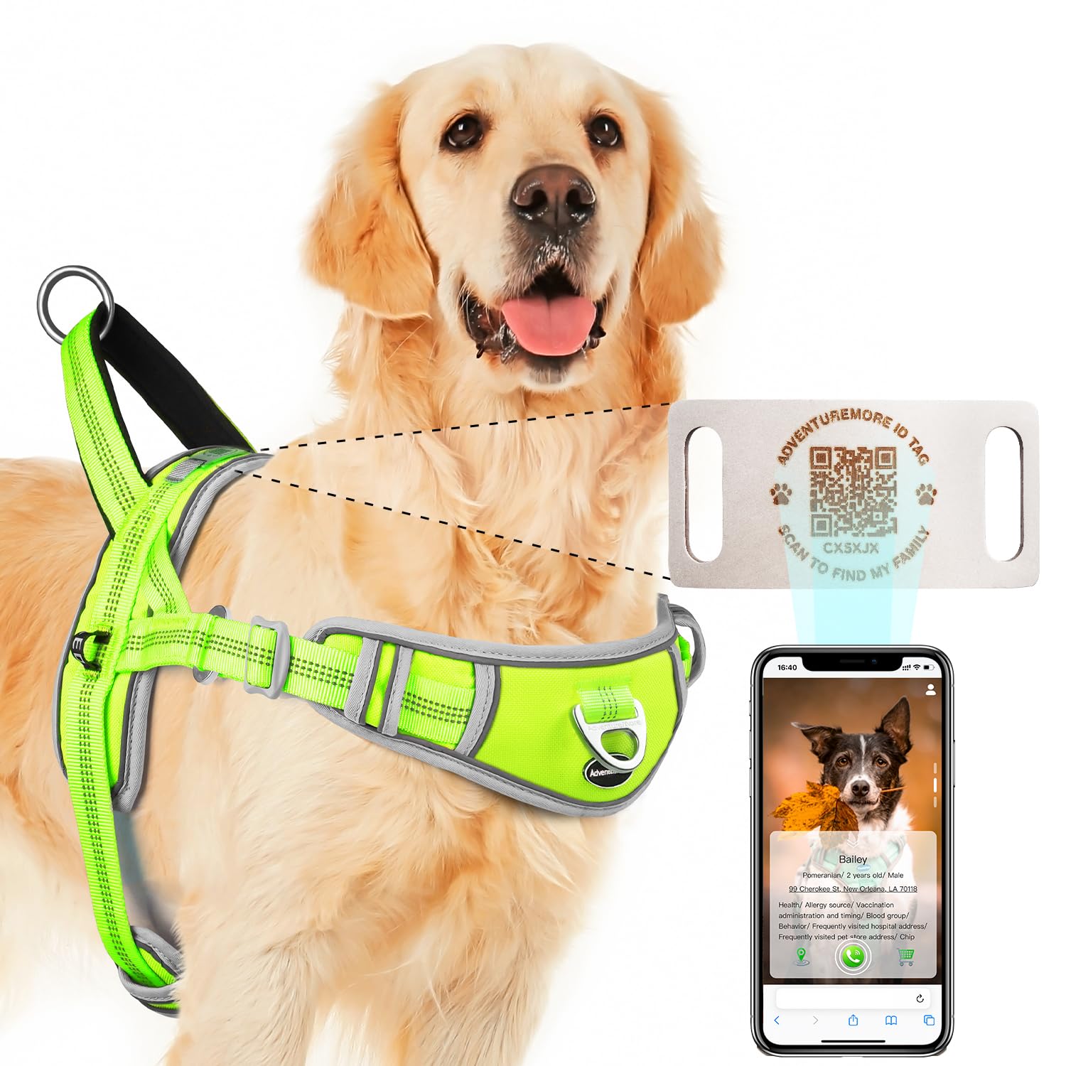 ADVENTUREMORE harnais anti-tirage avec clip avant pour chien grand