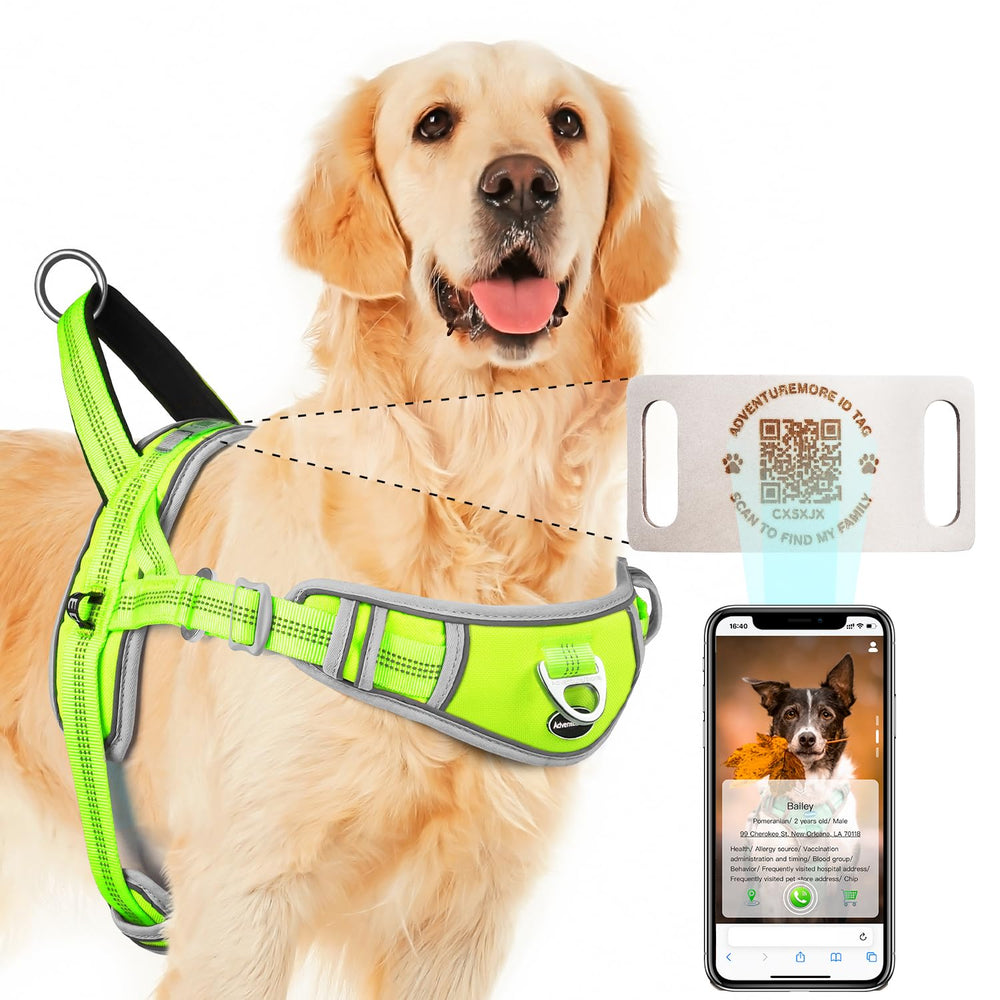 ADVENTUREMORE harnais anti-tirage avec clip avant pour chien grand