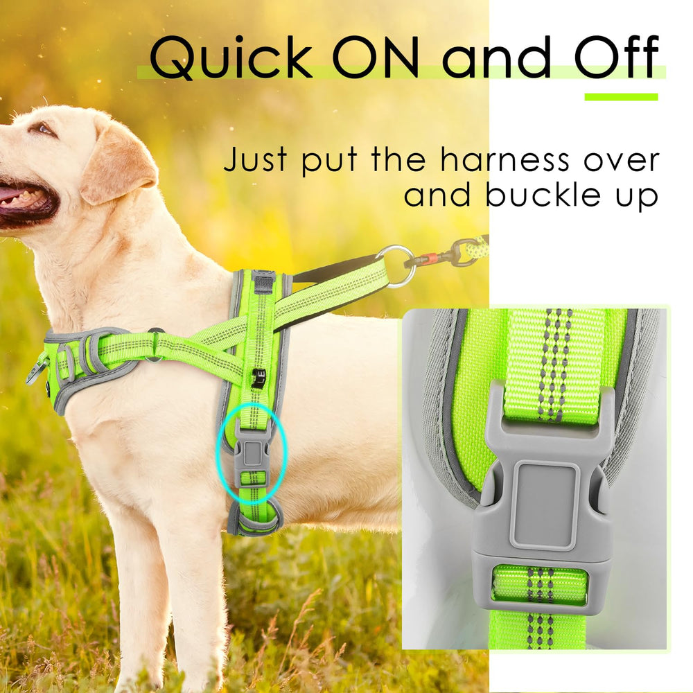 ADVENTUREMORE harnais polyvalent idéal pour promenade et entraînement