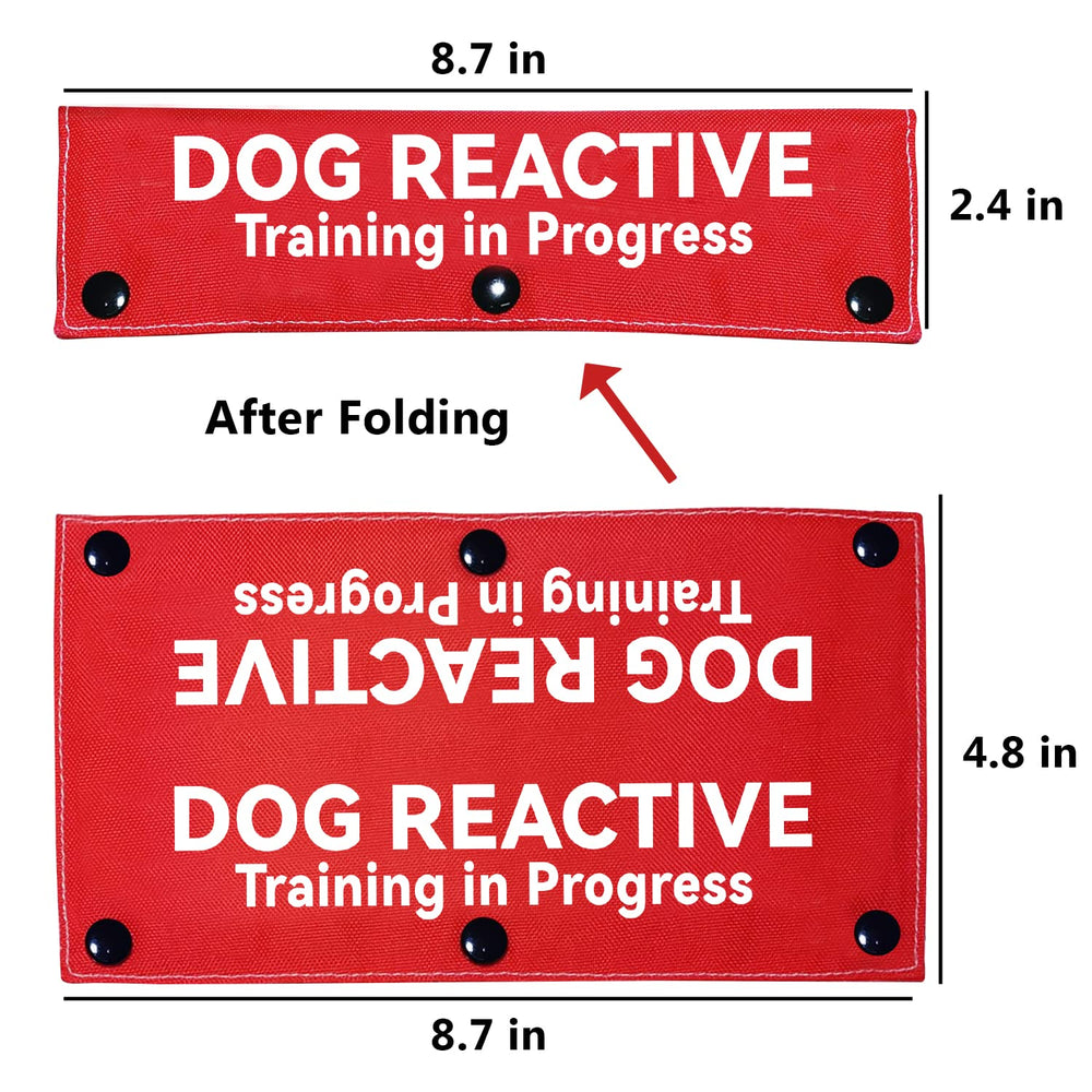 Advivio laisse réactive rouge vue arrière, chien facilement repérable.