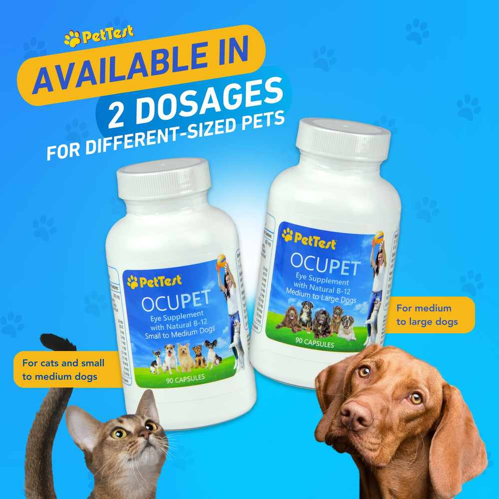 Advocate Pettest Ocupet, diabète-vision: soutien possible pour les animaux.