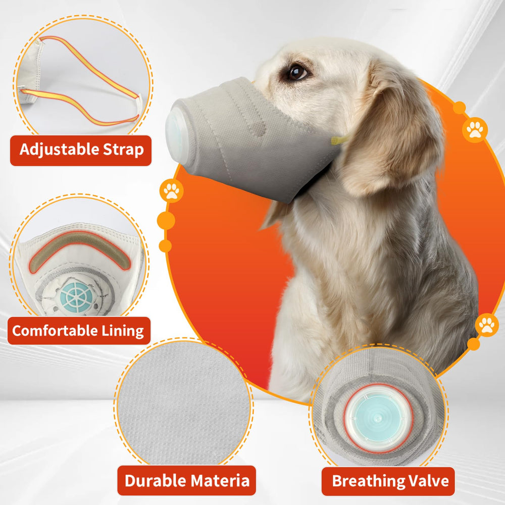 Utilisation en plein air avec le masque Adweli chien.
