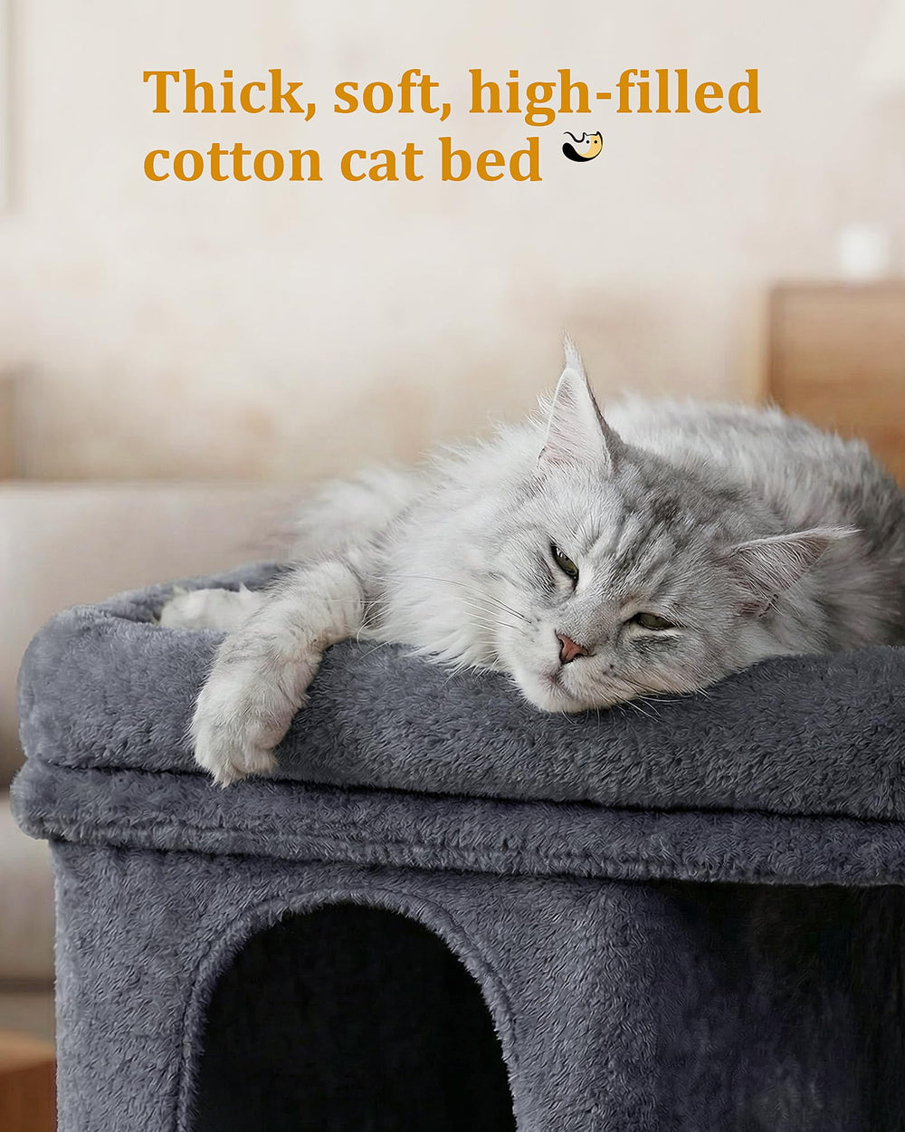 Aechonow Espace confortable pour chats adultes et actifs à la maison.