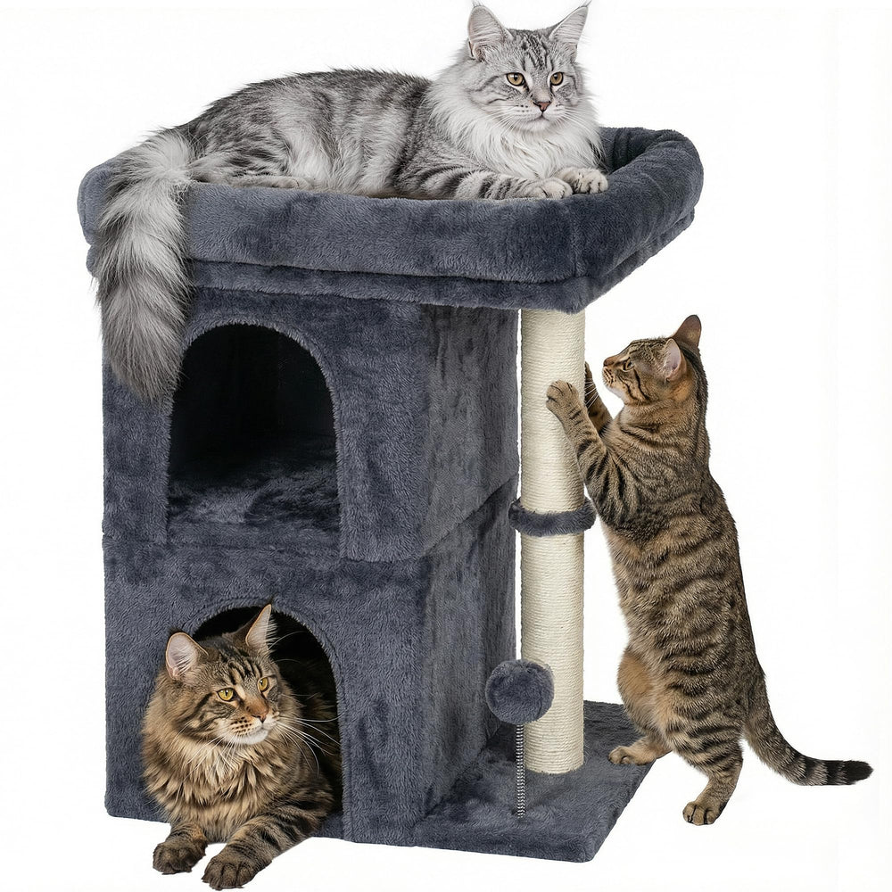 Aechonow Arbre à chat grand perchoir pour repos en hauteur et vue.