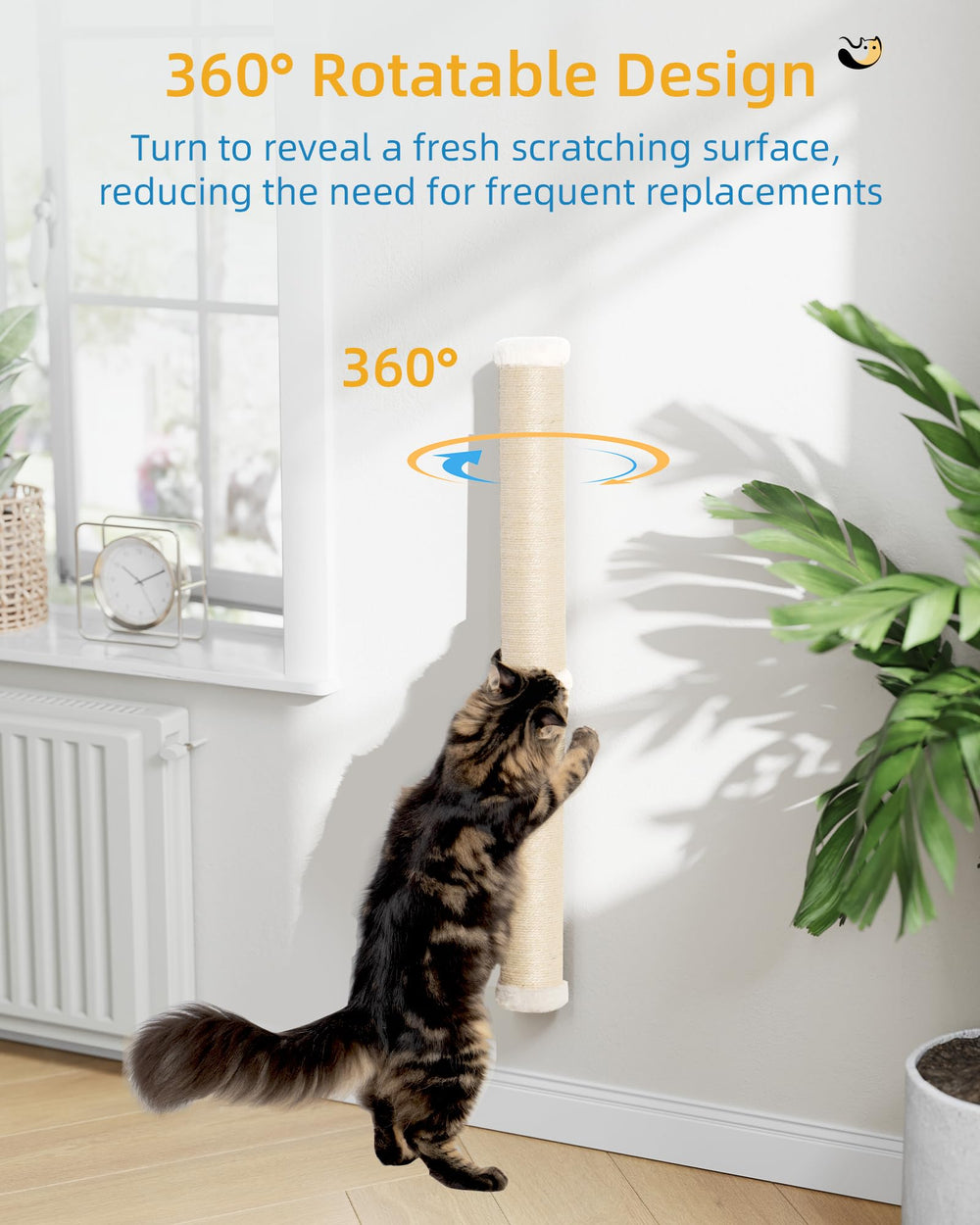 Parcours chat mural Mix et Match avec les poteaux Aechonow.