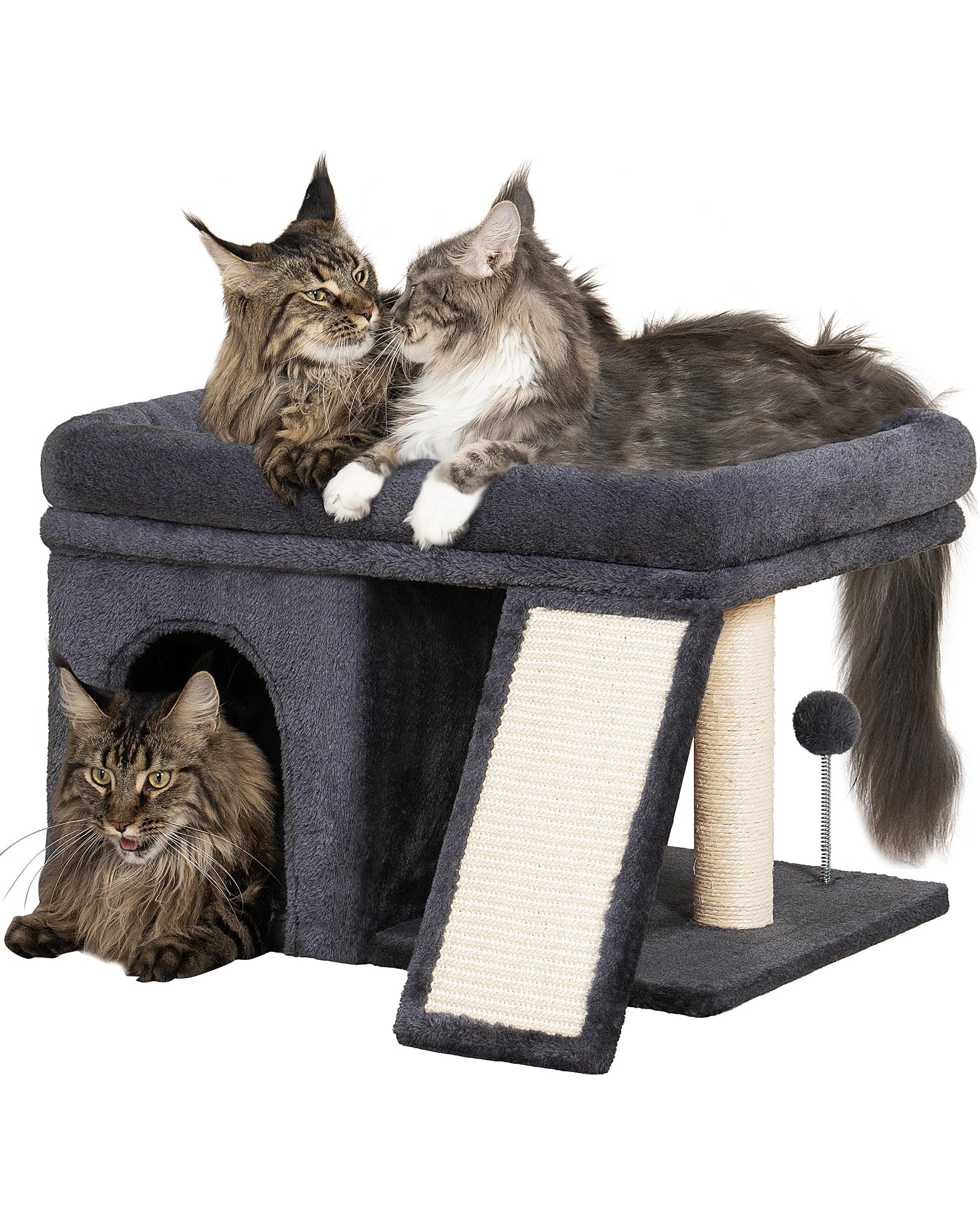 Aechonow XL arbre chat perchoir 25 po offre confort et espace