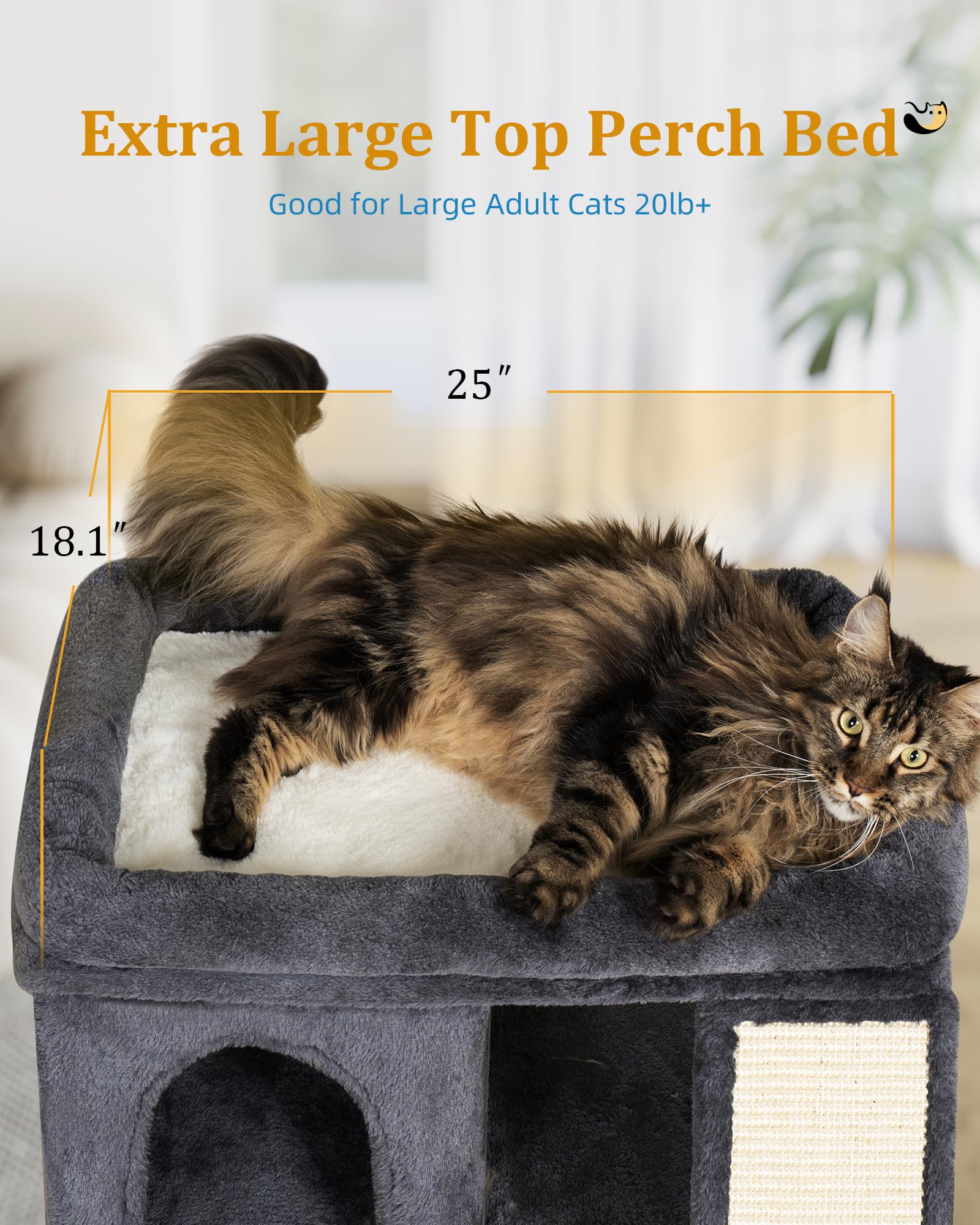 Aechonow XL coussin amovible lavable pour entretien facile