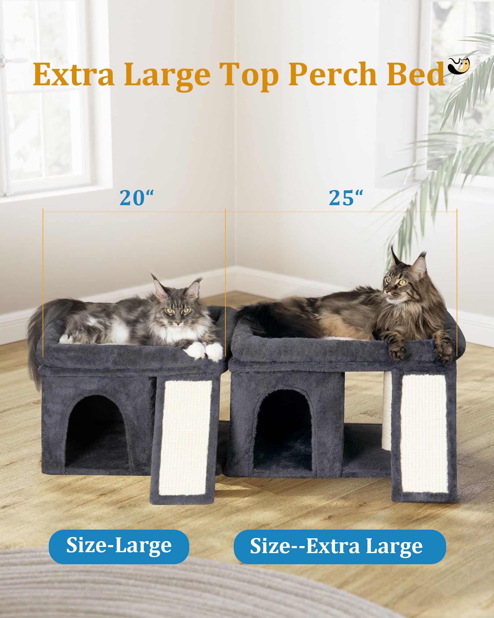 Aechonow XL rampe accessibilite douce pour chats seniors