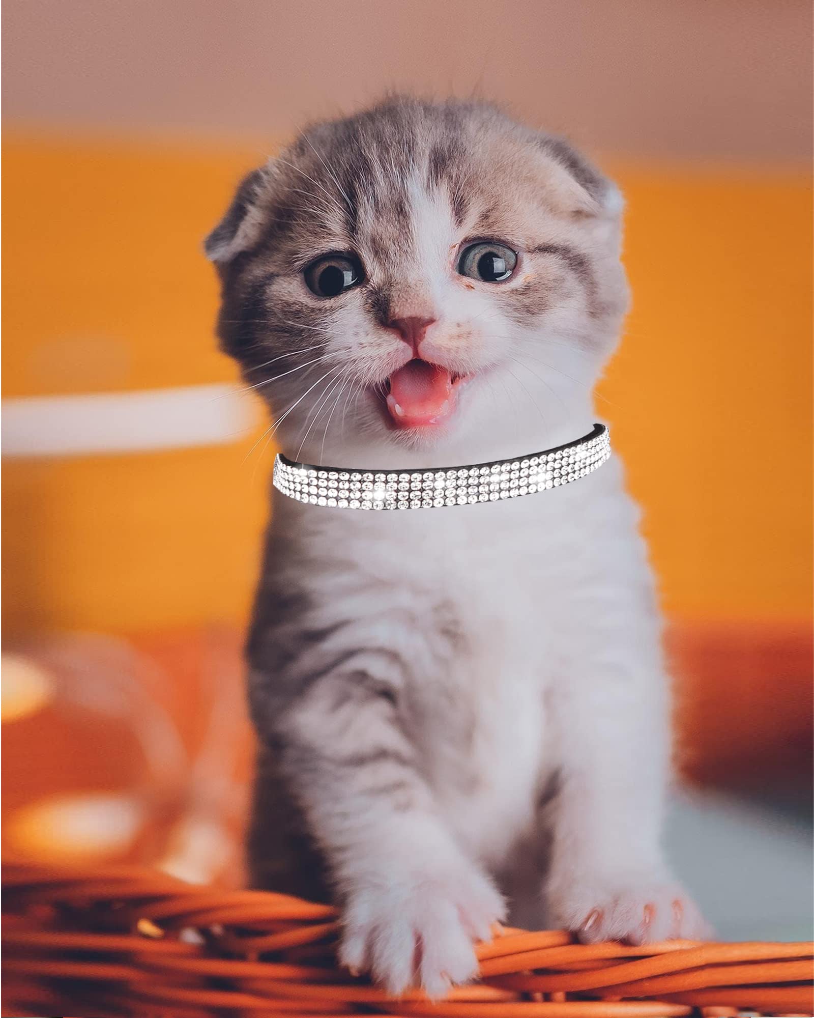 Collier Aecllcea noir avec cloche, suivre les mouvements du chat.