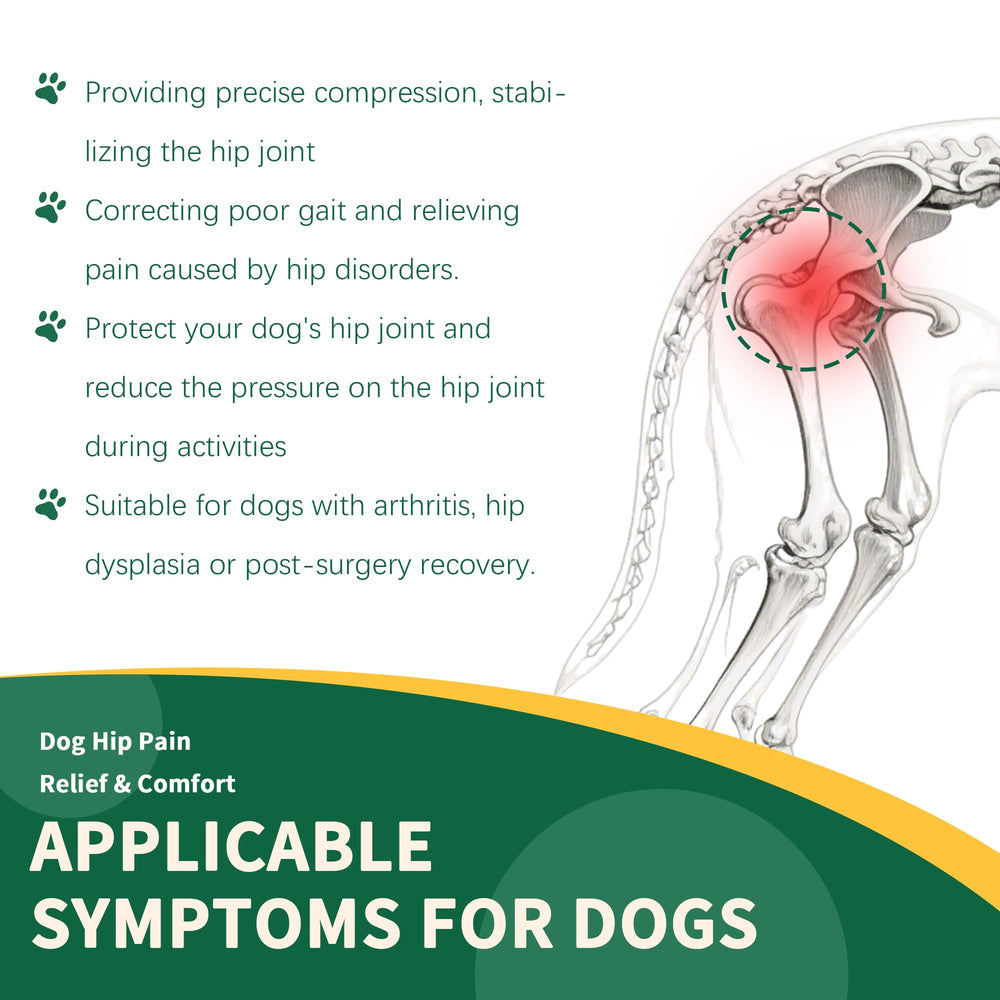 Aeegee orthèse hanche chien protection-postop: idéale après chirurgie.