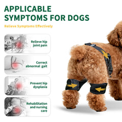Aeegee orthèse hanche chien sangle reglable: ajustement sécurisé.