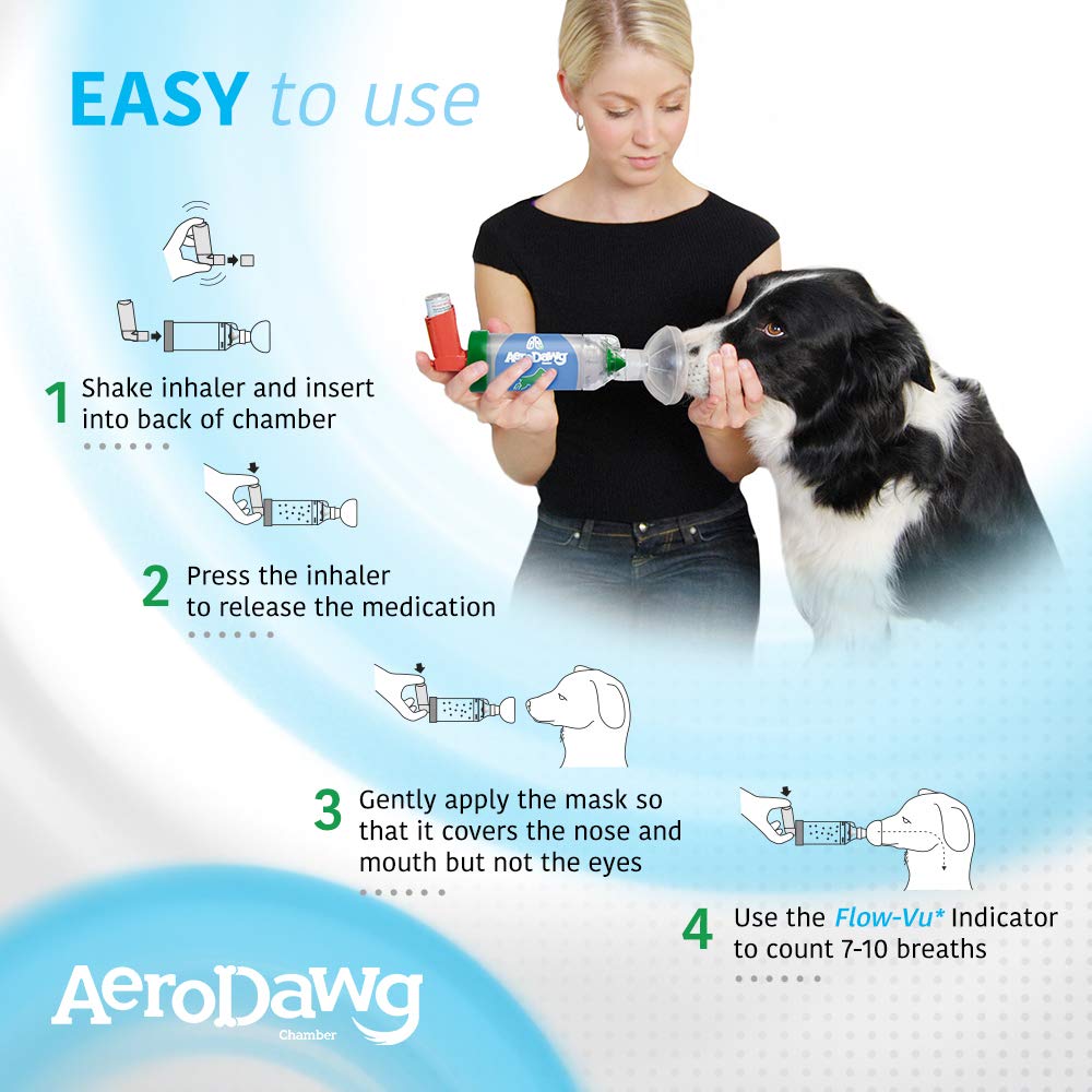 AeroDawg: outil simple pour délivrer les médicaments au chiot.