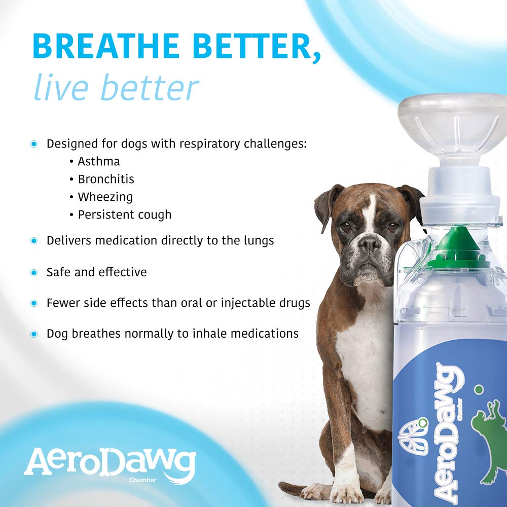 AeroDawg-indicateur-flow-vu montre les respirations et ajuste le masque