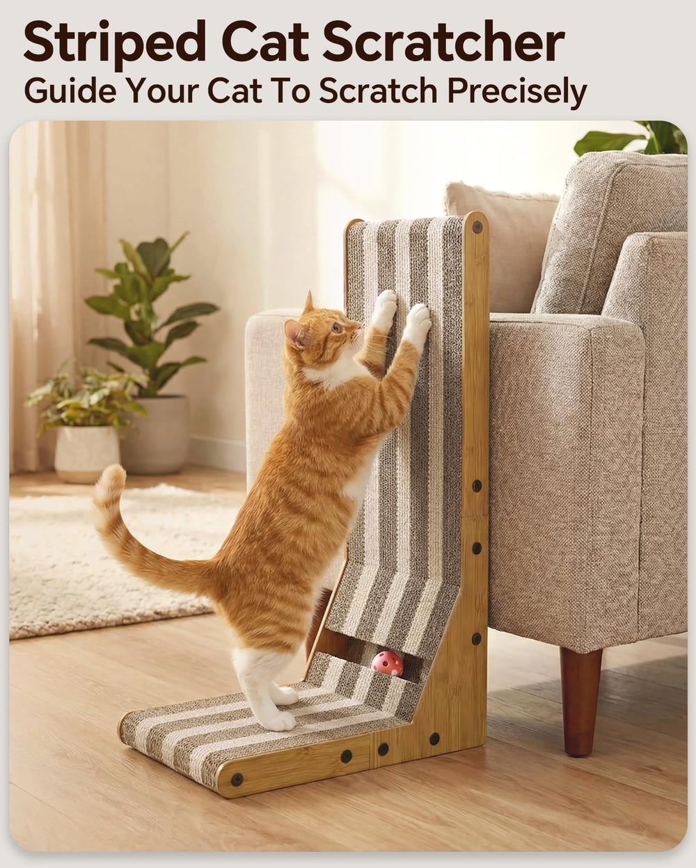 Aetherpaw griffoir-chat plan plat, espace de repos et griffage pratique.