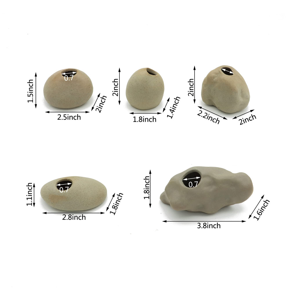 Porte-plante AFACYGN en action, fixation pratique sans substrat dans l'aquarium.