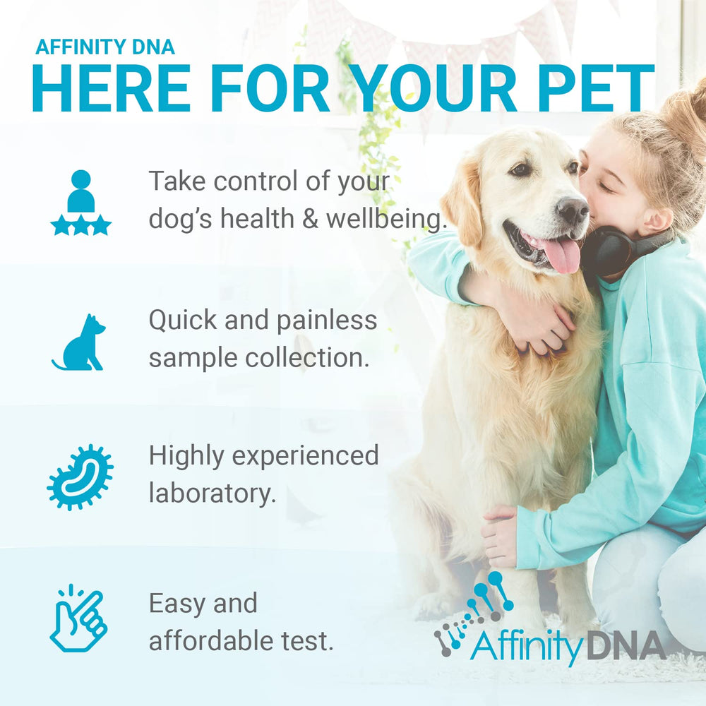 Tampons buccaux AffinityDNA MDR1 pour chien, collecte simple et sans douleur.