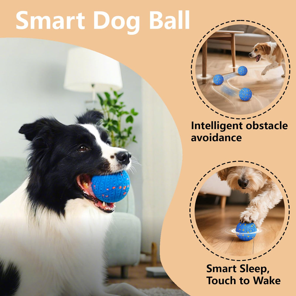 Affiuya balle canine action-sauts bleu propose des sessions de jeu dynamiques.