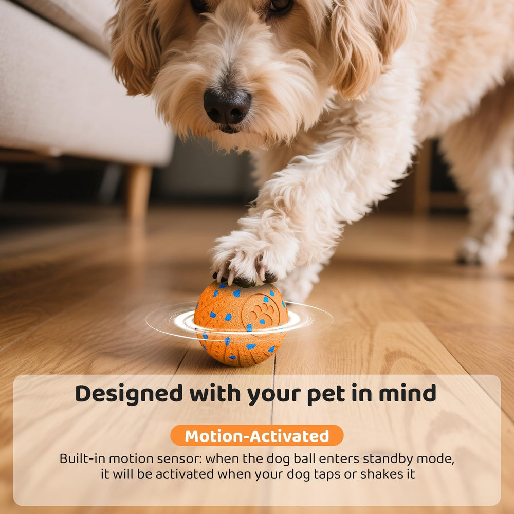 Affiuya balle-jouet chien recharge Type-C, charge rapide