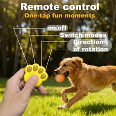 Affiuya balle-jouet chien vibration mode, expérience sensorielle