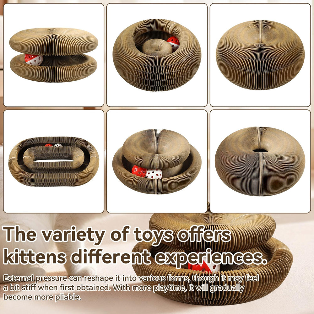 Affiuya jouet-chat pliable-accordéon, formes variées pour rangement.