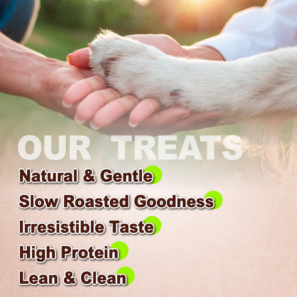 A Freschi srl bâtonnets-poulet-chien-sans-cereales : option saine pour l’alimentation.