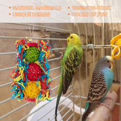 Panier tissé à la main AFUOWER pour oiseau, plateforme de repos et de jeux.