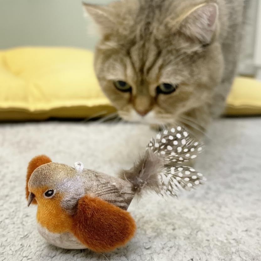 AGGER jouet chat engagement-avec-proprietaire, interaction renforcée